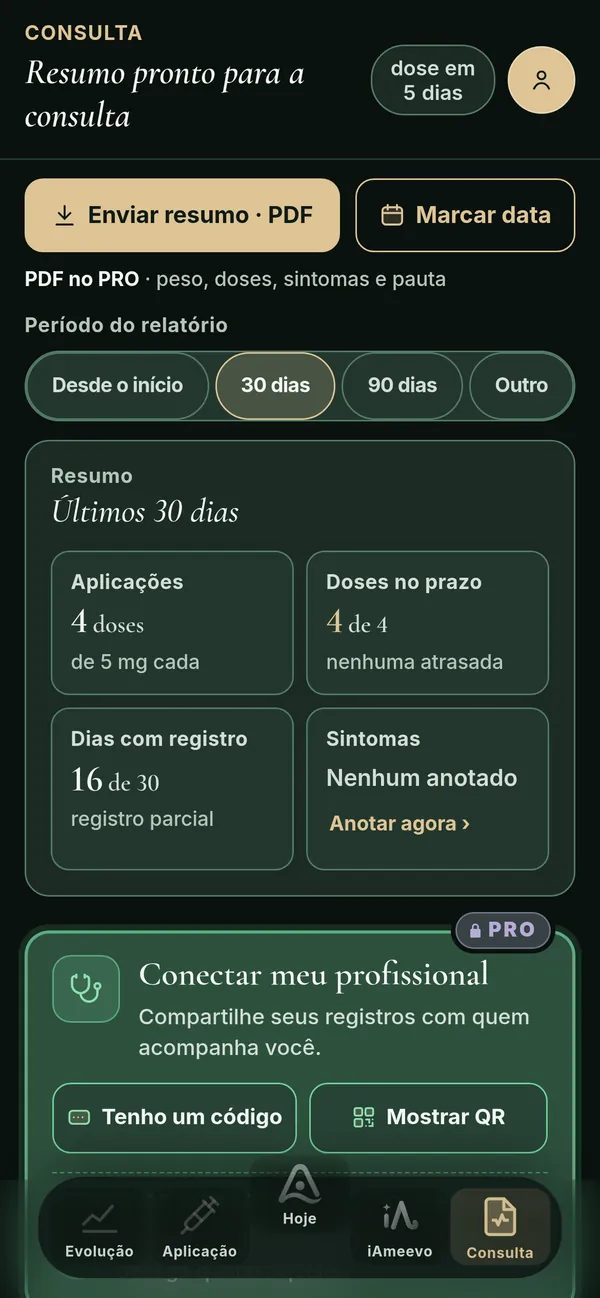Tela Consulta, com o resumo do período e o acesso do profissional